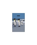 3D Lenticular Luggage Tags Mailer with Animated Penguin Images, 3.5 x 2.... - $11.00+