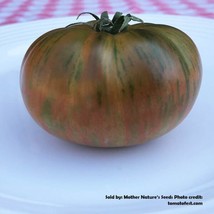 USA Non GMO 20 Seeds  Tomato Chocolate Lightning Dwarf Organic Slicing Fruit  - £7.97 GBP