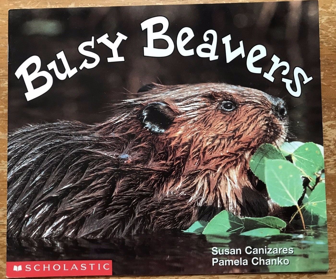 Busy Beaver Paperback Book Science Vocabulary Readers Scholastic Animal Unit - $5.89