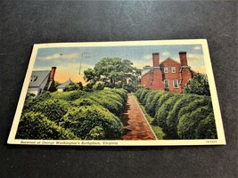 Boxwood at George Washington&#39;s Birthplace- Virginia -Postmarked 1954 Postcard. - £16.17 GBP