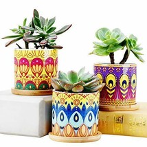 Pen Pot Desk or Flower Pot Succulent Plant Pots 3.15 Inch Round Cactus S... - £22.57 GBP