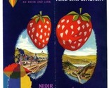 Nieder Lahnstein Brochure Germany 1960&#39;s Strawberry  - $14.83