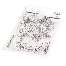 Pinkfresh Studio Clear Stamp Set 4&quot;X6&quot;-Today Is Special - £15.23 GBP