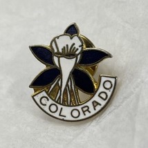 Colorado Blue Columbine Flower City State Souvenir Enamel Lapel Hat Pin Pinback - £4.75 GBP