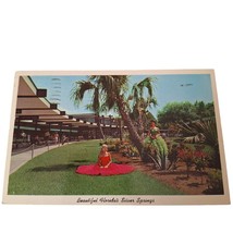 Postcard Beautiful Florida&#39;s Silver Springs Palm Trees Chrome Posted - £5.53 GBP