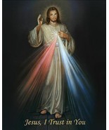 Divine Mercy "I trust in You", LAMINATED Jesus 8x10 inch Framing Print Poster - $13.95