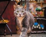 Shop Cats of New York Tamar Arsianian Photographs by Andrew Marttila Har... - $8.53