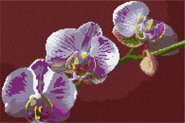 Pepita Needlepoint Canvas: Orchid, 10&quot; x 7&quot; - £39.34 GBP+