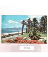 Palisades Park Santa Monica California 1950s Postcard CA PC 1957 101-A B... - €11,01 EUR