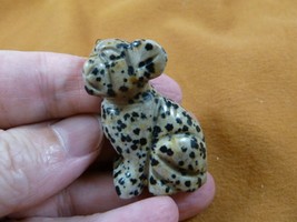 (Y-DOG-CH-565) lil spotted CHIHUAHUA Mexican baby dog gemstone carving f... - $14.01