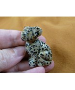 (Y-DOG-CH-565) lil spotted CHIHUAHUA Mexican baby dog gemstone carving f... - £10.97 GBP