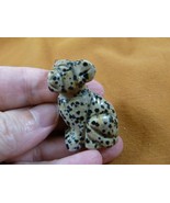 (Y-DOG-CH-565) lil spotted CHIHUAHUA Mexican baby dog gemstone carving f... - €11,95 EUR