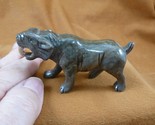 (y-sab-400) tgray wild Saber tooth cat Tiger stone gemstone SOAPSTONE PERU - £24.73 GBP