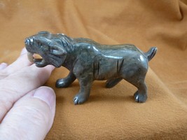 (y-sab-400) tgray wild Saber tooth cat Tiger stone gemstone SOAPSTONE PERU - £24.36 GBP