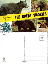 Tennessee Smoky Mountains Great Smokies Greetings Black Bears Vintage Postcard - £7.39 GBP