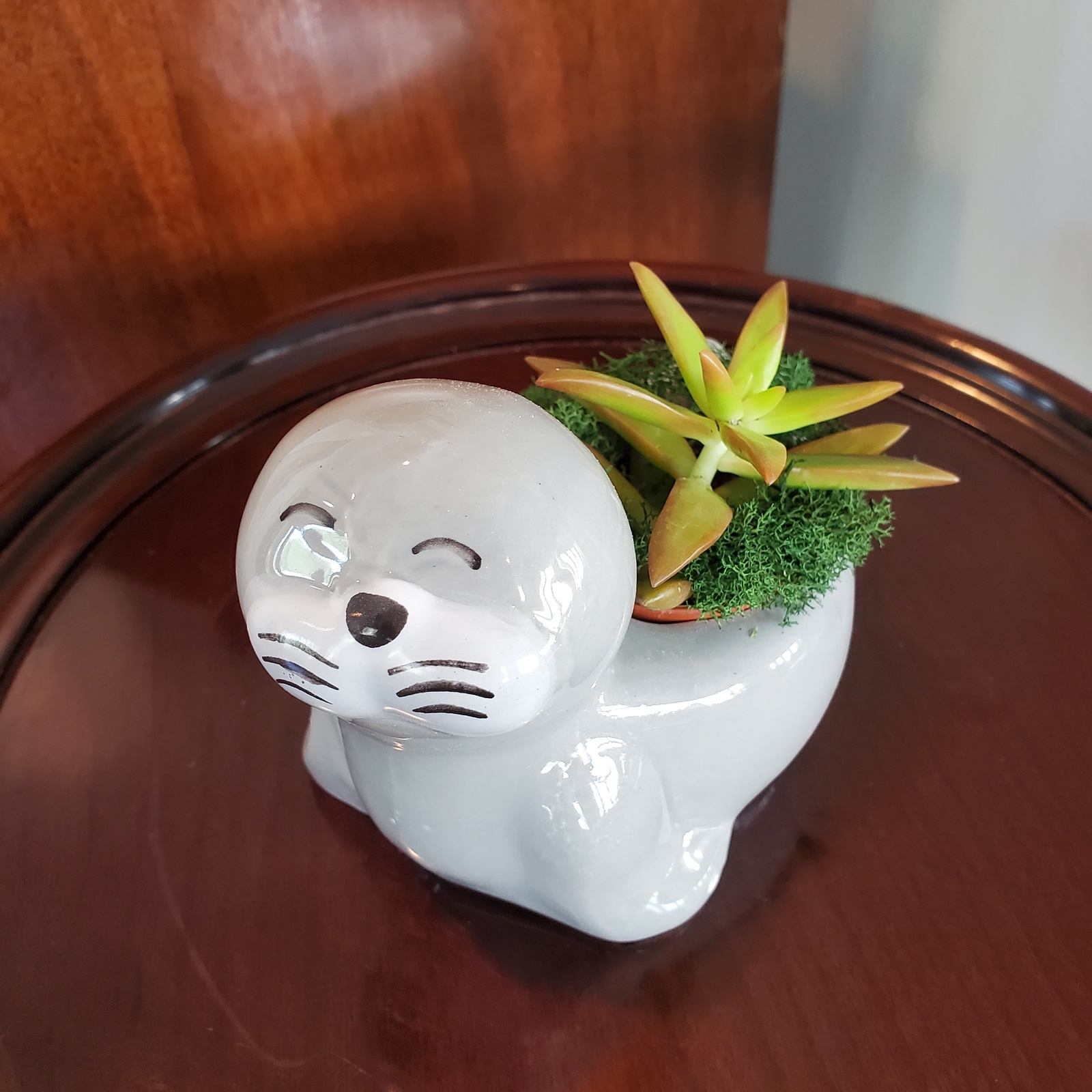 Seal Planter with Live Succulent, Stanley the Seal, Animal Planter Plant Pot - $19.99