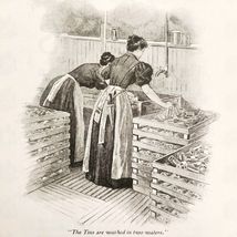 Franco American Food Co Soups 1899 Advertisement Victorian Products DWNN13 - $35.02 CAD