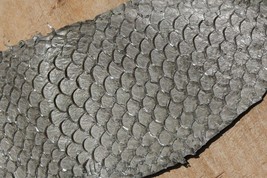 a lot of TWO authentic Fish Skins Hide Leather Craft Supply Glazed Gray - $8.91