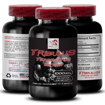 Strength Optimization - Tribulus Terrestris Extract - Natural Recharge 1 Bottle - $17.96