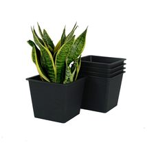 Catleza 5&quot; Square Nursery Plant Pot - Garden Plastic Pots with Drainage ... - £18.48 GBP