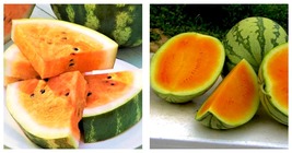 Very Sweet Orange Watermelon Seeds . True To Color 50 Seeds - £15.12 GBP