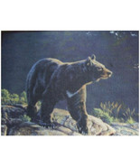 Custom Printed Rugs Bear Wildlife Rug - $71.82