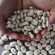 Lot Mini Magic White Bean Seeds Gift Plant - 100 Seeds - $11.13