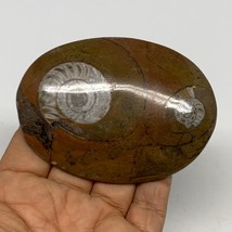 106.1g, 3.4&quot;x2.4&quot;x0.6&quot;, Goniatite (Button) Ammonite Polished Fossils, B30097 - £9.59 GBP