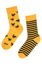 SCAREDY-CAT striped Halloween socks with a yellow cat - $9.41