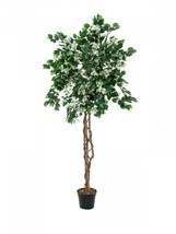 EUROPALMS Bougain Villea, Artifical Plant, White, 180cm - $143.28