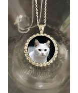 Pet cat Dog death memorial in memory of  silver necklace send  your pet ... - €20,47 EUR