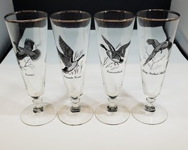 4 Federal Glass Co. Silver Rimmed Wild Bird Pilsner Glasses 8 1/4&quot; Tall - £27.17 GBP