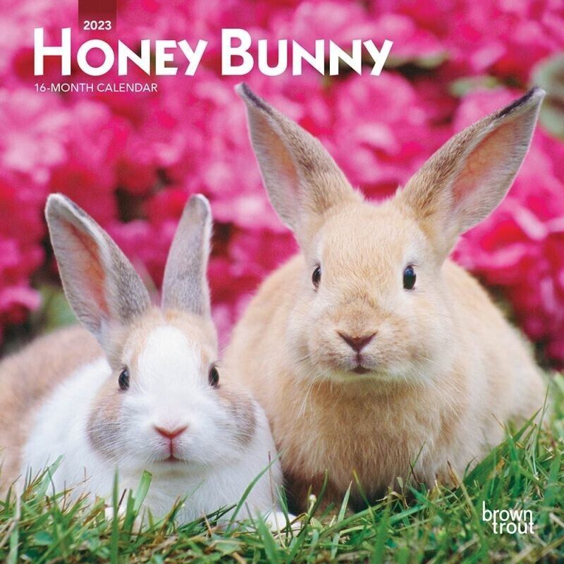 Primary image for 2023 Hunny Bunny 7x7 16-Month Mini Wall Calendar
