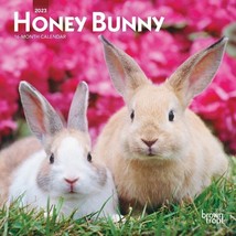 2023 Hunny Bunny 7x7 16-Month Mini Wall Calendar - $9.99