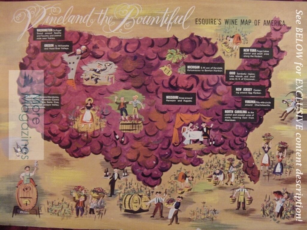 RARE Esquire 1941 Article Art MARK ASHLEY Wine Winemaking in America ERD... - $4.86