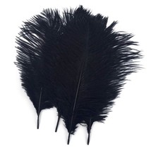 Black 10-12Inch 25-30Cm Ostrich Feather Home Decoration Diy Craft Pack Of 10 - £14.38 GBP