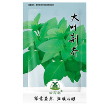 4000Pcs Nepeta Cataria Camelina Sativa Camelina Sativa Artemisia Spp Gar... - $10.89