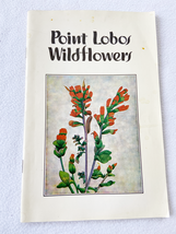 PB Point Lobos Wildflowers by Legg, Ken - £15.95 GBP