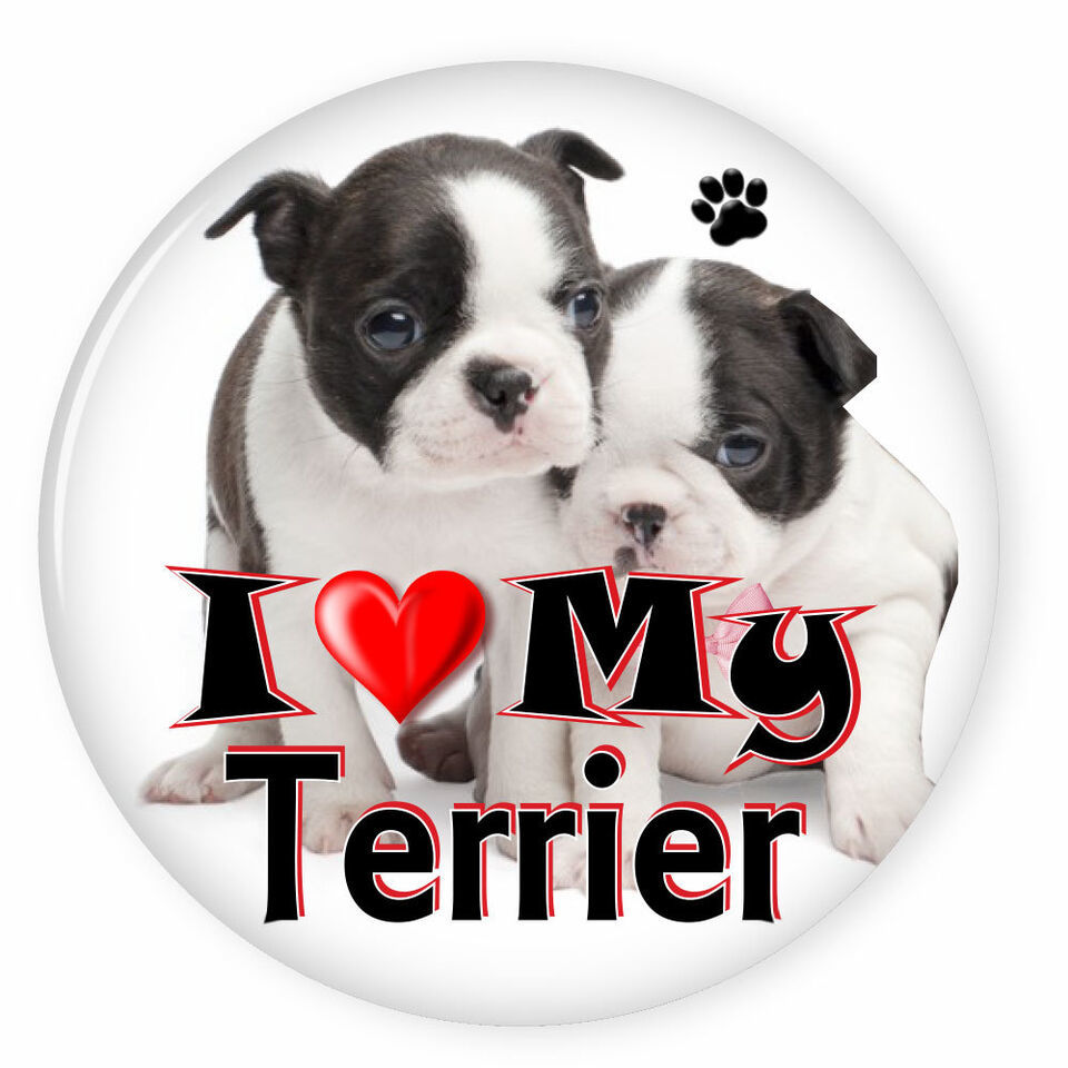 I LOVE MY TERRIER DOG PUPPY 3&quot; SAFETY PIN BACK BUTTON - $6.29