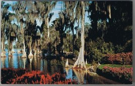 Florida Postcard Lake Eloise Florida&#39;s Cypress Gardens  - £2.32 GBP