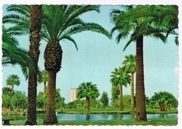 Phoenix Arizona Postcard Encanto Park Palm Trees - £1.66 GBP