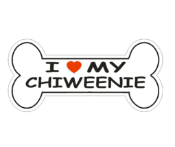 4&quot; love my chiweenie dog bone bumper sticker decal usa made - $26.99
