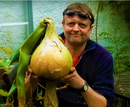 Onion Seeds Ailsa Craig Exhibition 50 Seeds Giant Onion 18Lb. World Record Hold  - £7.63 GBP