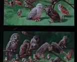 24&quot; X 44&quot; Panel Owls of North America Birds Animals Cotton Fabric Panel ... - £6.35 GBP