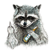Rude Raccoon Funny High Quality Decal Car Truck Cooler Cup Golf Cart Wall Gift - £5.49 GBP+