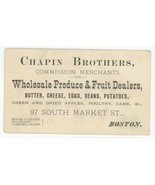 Chapin Boston produce fruit business trade card antique vintage Victorian - $265.99 MXN
