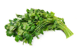 CORIANDER herb (Coriandrum sativum) recao cilantro latin cuisine spice 100 seeds - £7.07 GBP