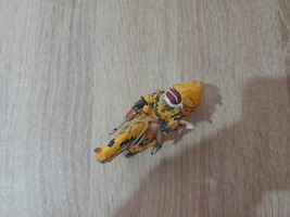 Item image 11