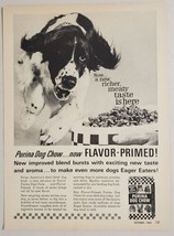1962 Print Ad Purina Dog Chow Happy Dog Runs to Food Bowl  - £13.00 GBP