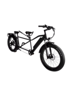 Fat Tire Fun | Electric Tandem Bike for Duo Adventures - $54,083.85 MXN